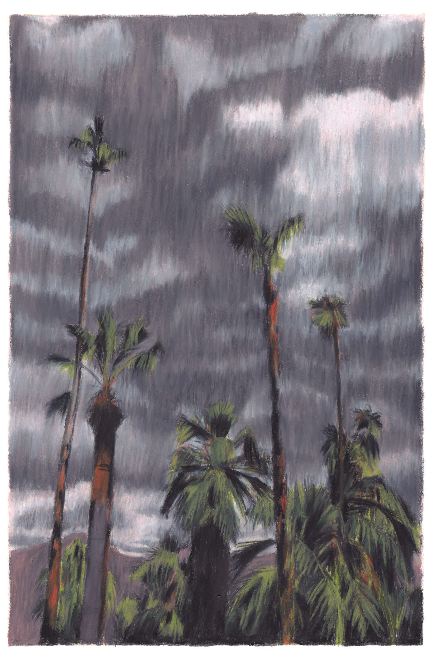palmiers ciel d'orage californie