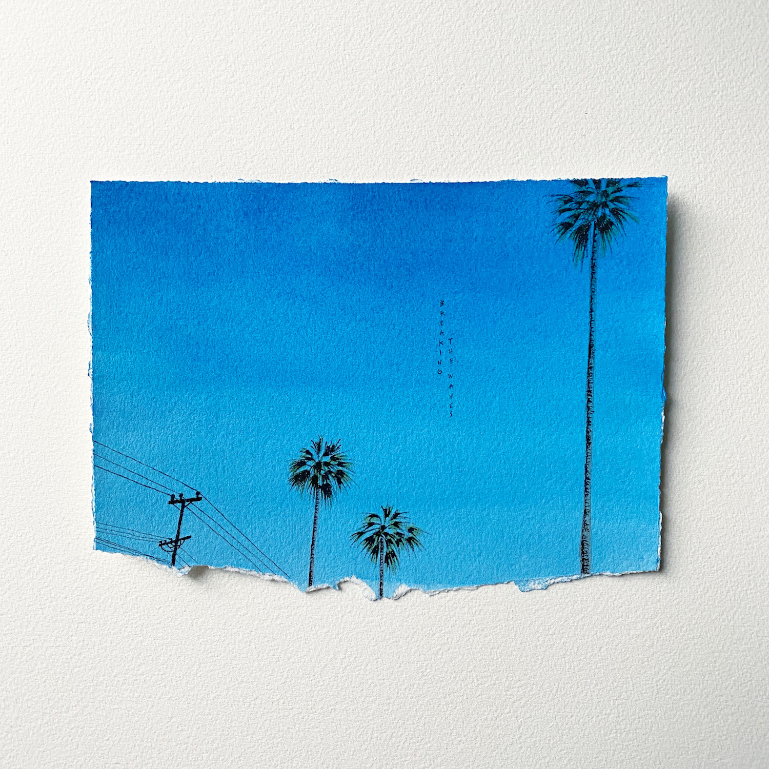 ciel bleu palmiers câbles californie