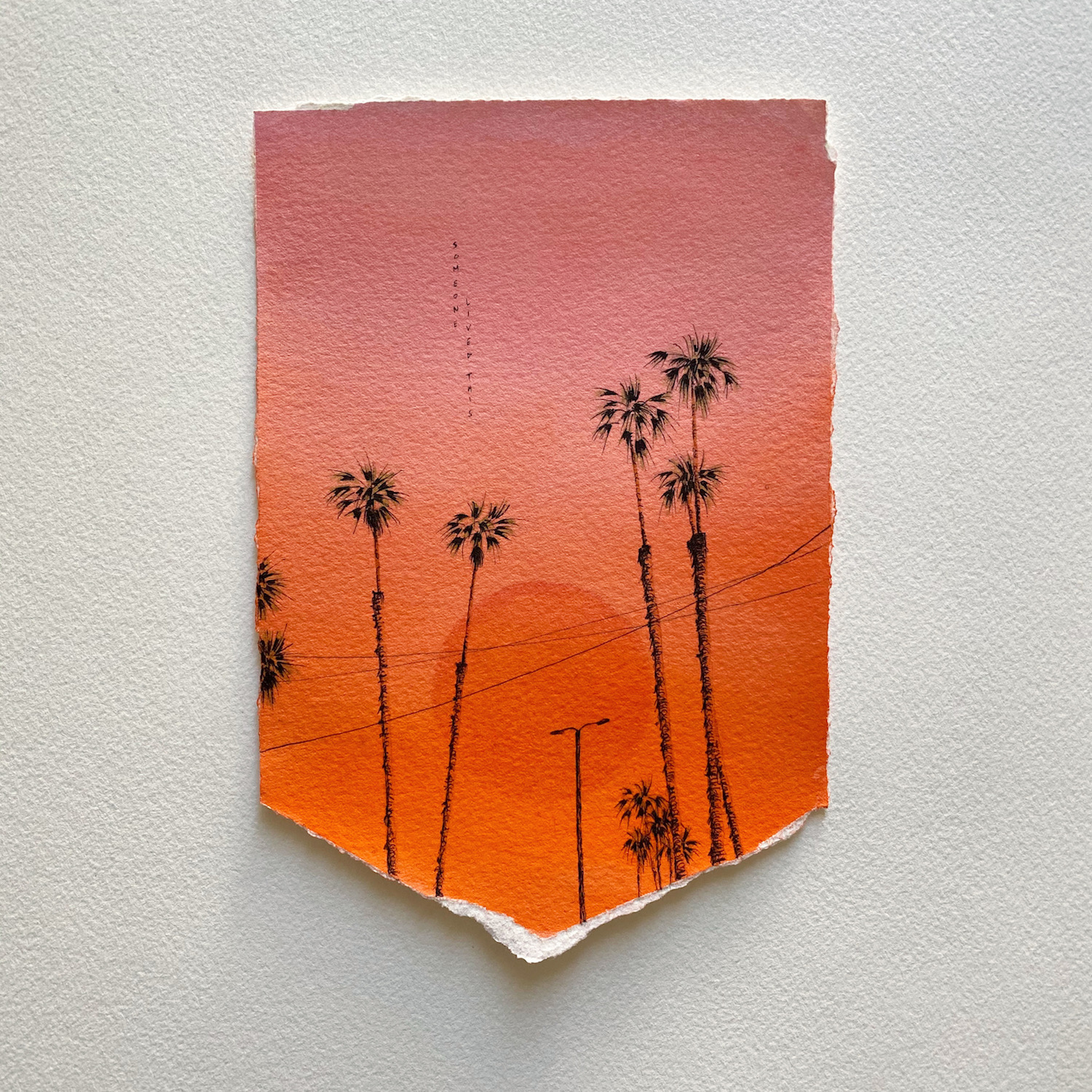 ciel flamboyant orange palmiers