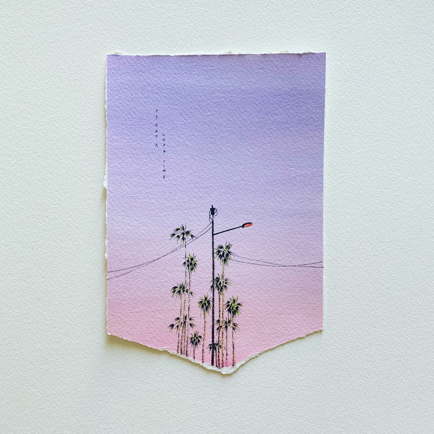 ciel du soir violet palmiers