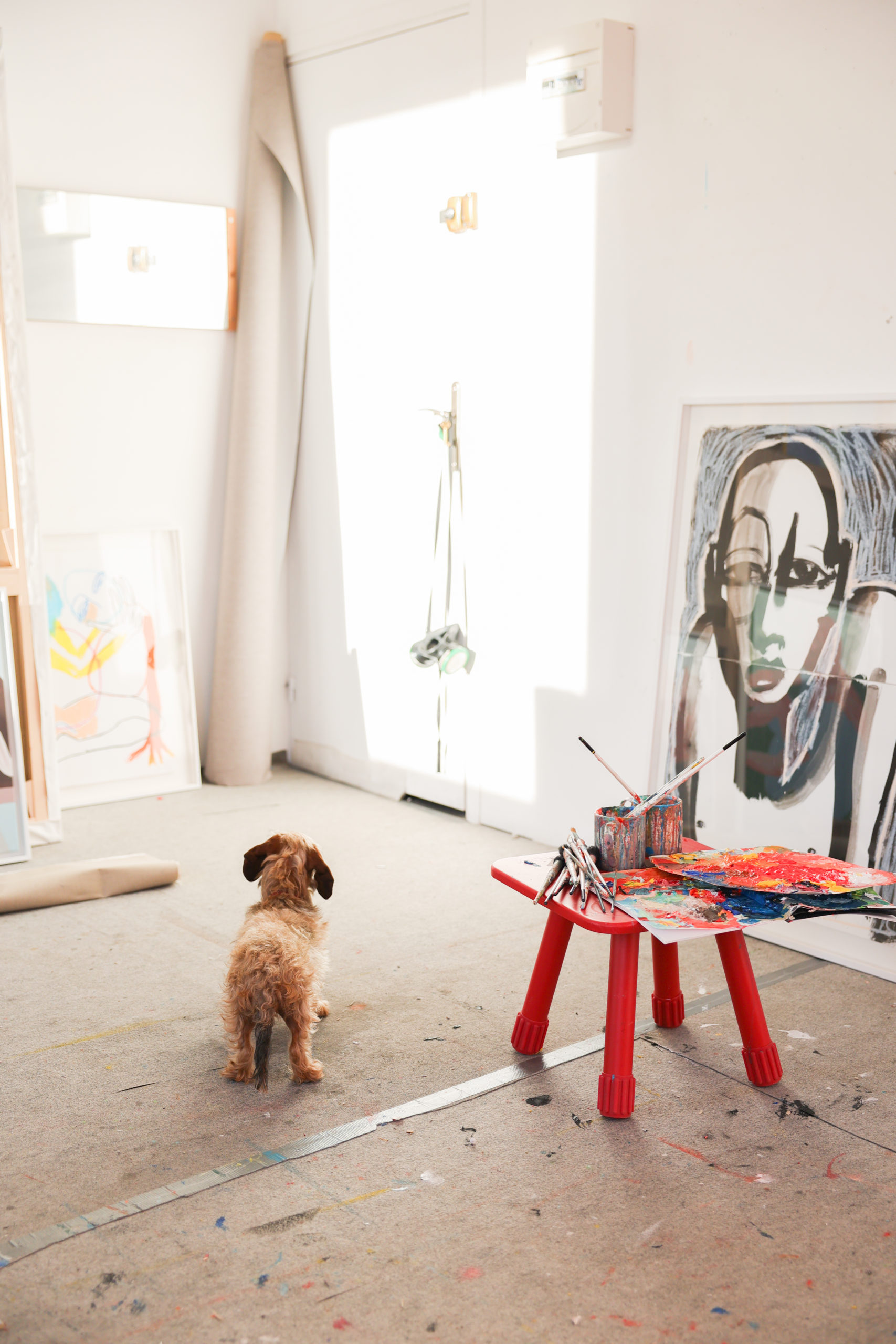 Le chien de Camille Cottier attendant devant la porte de son atelier à côté d'un tabouret recouvert de palette de peinture et pinceaux