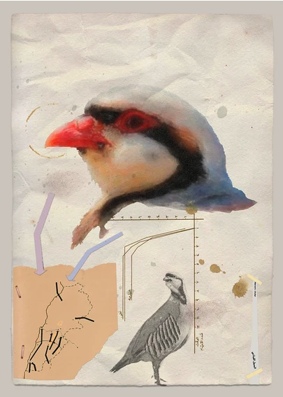 Oeuvre de Walid Raad pour le projet Atlas Group, collage autour d'une photo de tête d'oiseau
